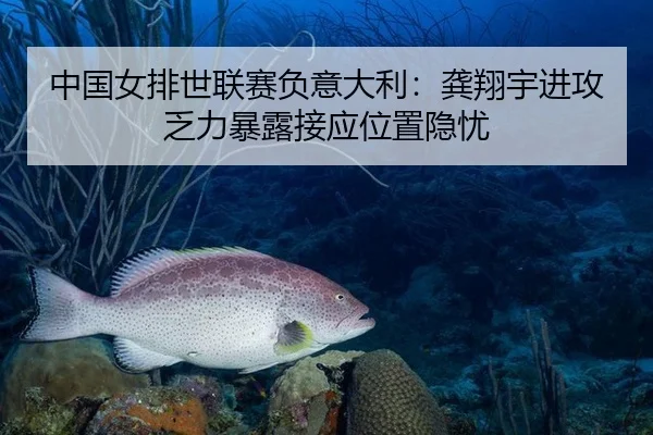 中国女排世联赛负意大利：龚翔宇进攻乏力暴露接应位置隐忧